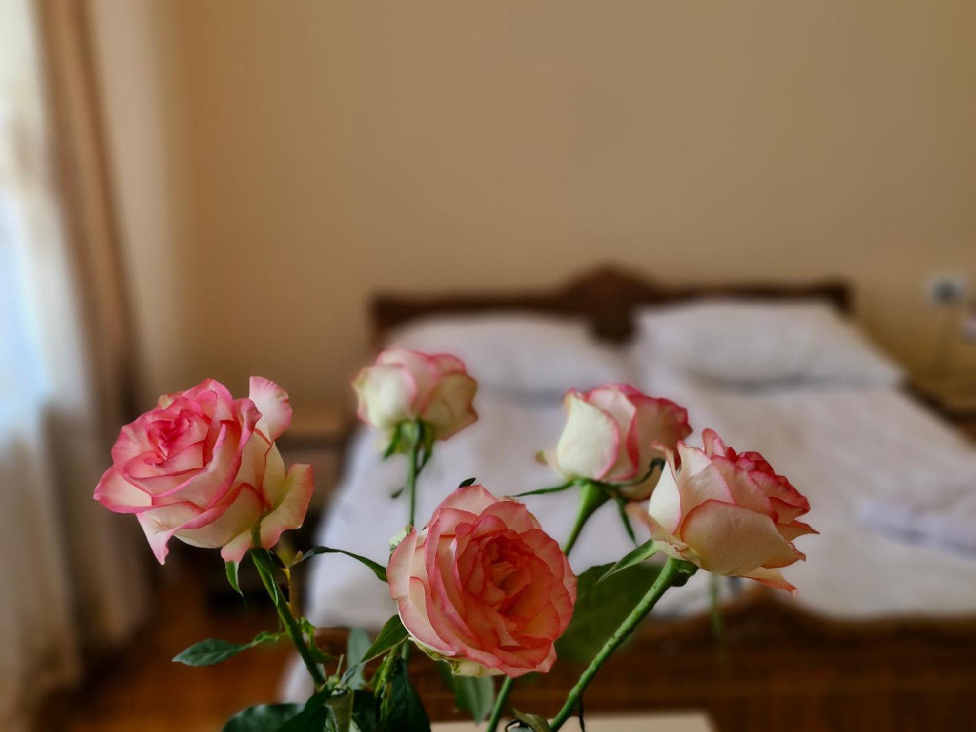 Guest House David'S B&B Gyumri Ngoại thất bức ảnh