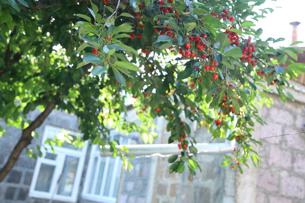 Guest House David'S B&B Gyumri Ngoại thất bức ảnh